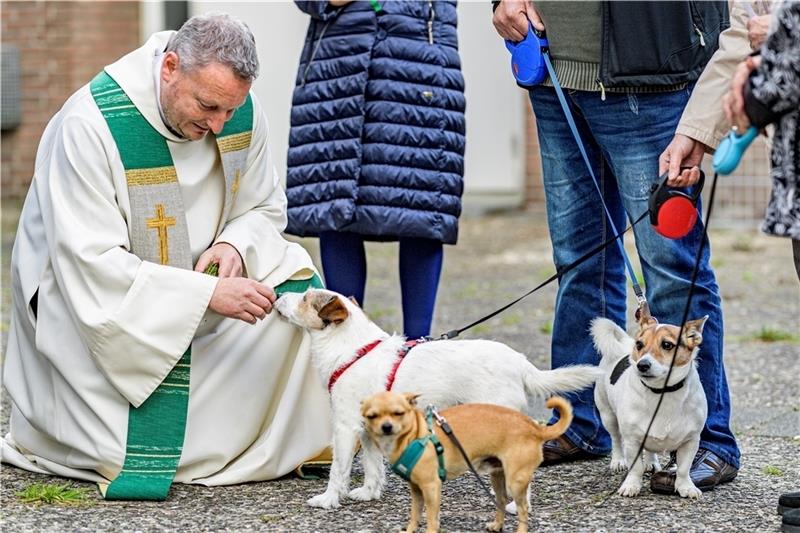 Pastor Alexander Görke segnet Hunde vor der Kirche. Foto: Heimken/dpa