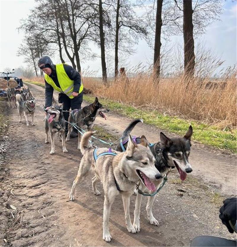 Mit Huskys auf Abenteuer-Tour rund um Engelschoff Pause für die Ausdauersportler: Alexandra Augsten hat einen Wasserkanister und Näpfe dabei.