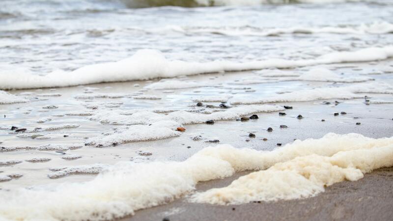 Nicht schlucken oder berühren! Giftiger Meerschaum türmt sich an Nordseestränden Per- und polyfluorierte Chemikalien, sogenannte PFAS, sind auch in Meerschaum enthalten.
