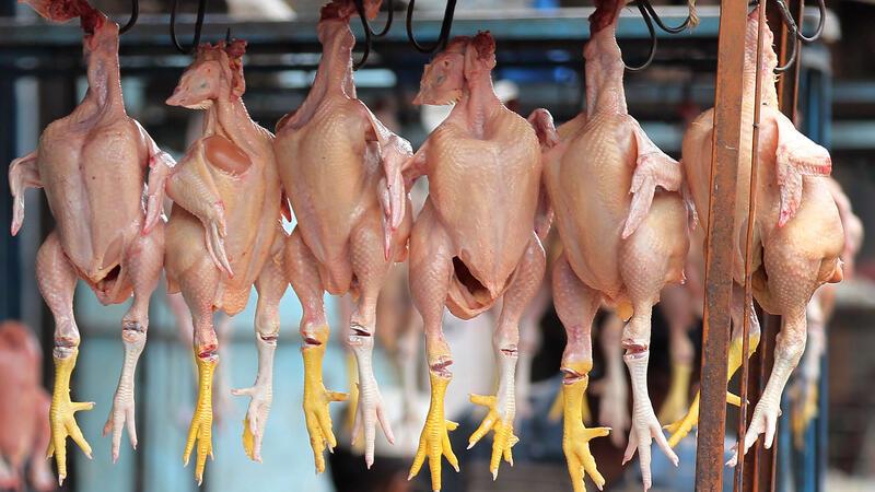 Abstruse Initiative: Diese Redewendungen sollen abgeschafft werden Peta will Redewendungen wie „Hühnchen rupfen“ abschaffe - und schlägt Alternativen vor.