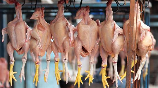 Peta will Redewendungen wie „Hühnchen rupfen“ abschaffe - und schlägt Alternativen vor.