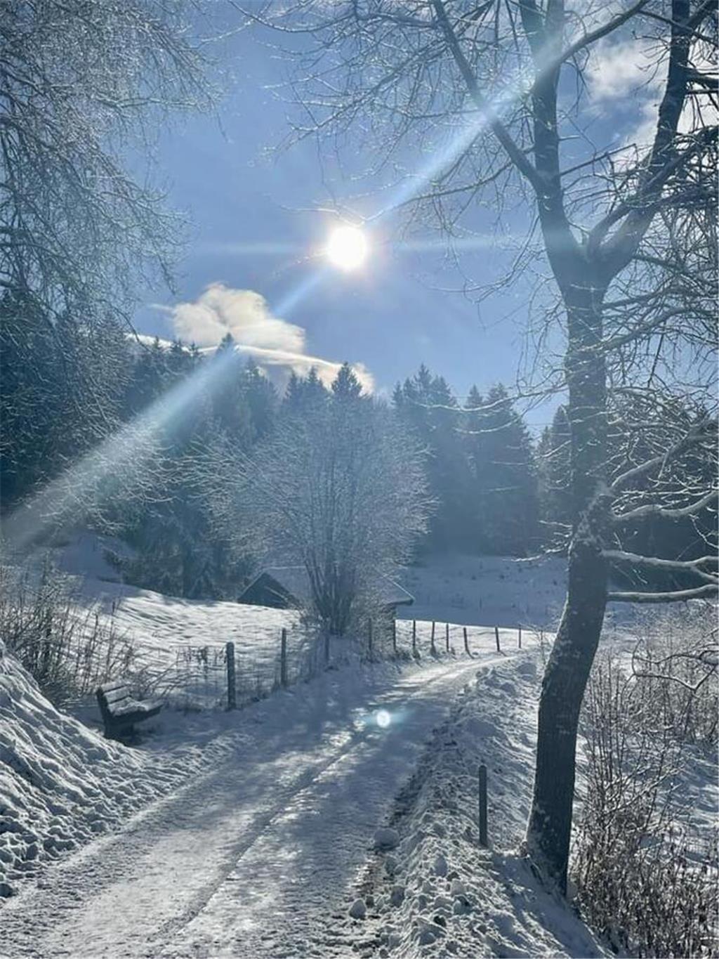 Petra von Allwörden ist in der Schneelandschaft unterwegs.