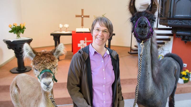 Pfarrerin setzt in der Seelsorge auf Lamas und Alpakas Pfarrin Wiltrud Bauer nimmt ihre Tiere gerne zu Besuchen im Hospiz oder Altenheim mit (Archivbild)