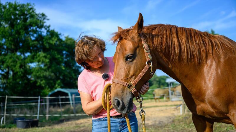 Pferdehalterin Ulrike Wehrspohn war in Schock als ihre Stute Flashy wegen der präparierten Karottenköder in Not war.