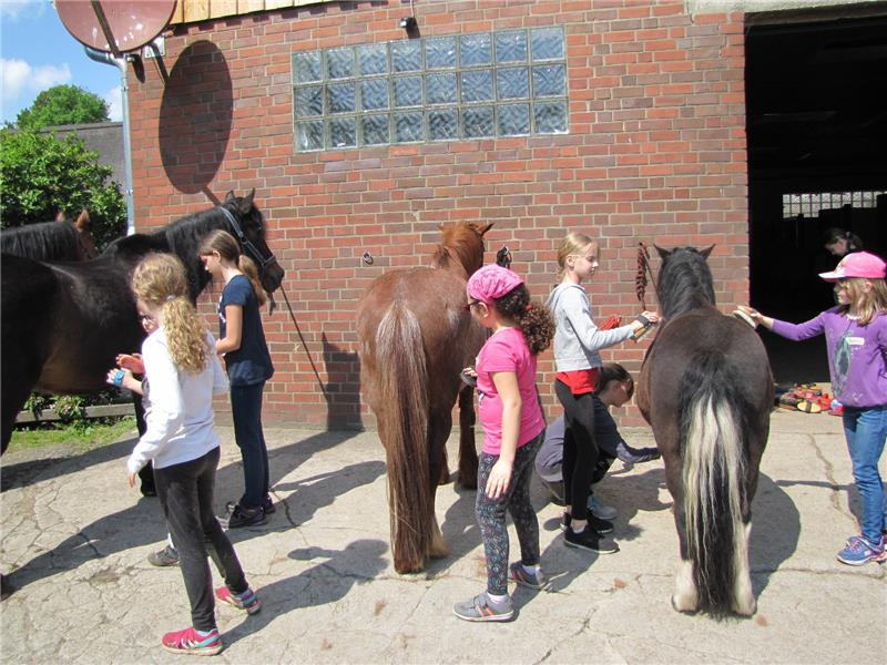 Pferdeputzen und Ponyspiele gehören zum aktuellen Programm der Kirche in Apensen. Foto Felsch