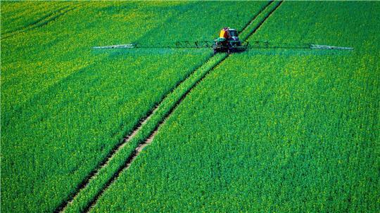 Pflanzenschutzmittel sollen die Ernte sichern. (Symbolbild)