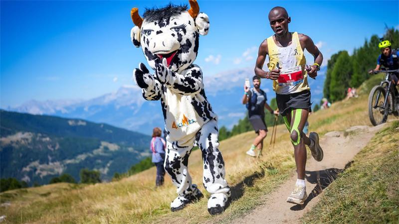Philemon Ombogo Kiriago beim 53. Sierre-Zinal-Berglauf: Fan in Kuh-Kostüm sorgt für tierische Unterstützung
