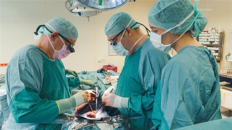 Philipp Felgendreff (mitte) transplantiert wie hier häufig menschliche Nieren, hat aber Hoffnung, dass er künftig auch Schweinenieren in Menschen einsetzt.