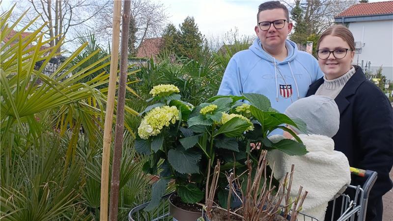Philipp und Lucile Drossel wollen ihren Vorgarten mit Lavendel und Ballhortensie begrünen.