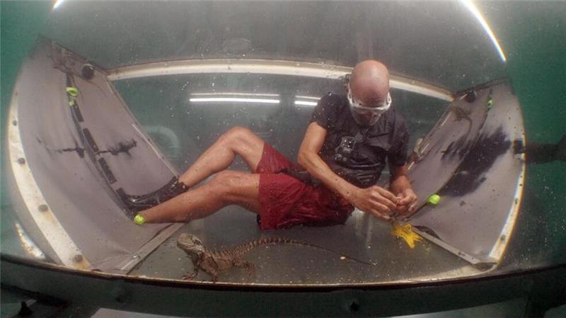 Edith Stehfest entgeht Rauswurf aus dem RTL-Dschungelcamp Pierre sammelte in einem Tunnel Unterwasser zwei Sterne.