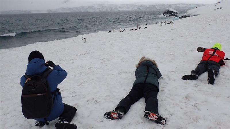 Influencer im ewigen Eis: Wird die Antarktis zum Massenziel? Pinguine so hautnah vor die Linse zu bekommen, reizt die meisten Touristen.