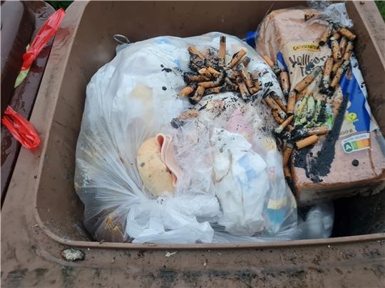 Plastikbeutel und Zigarettenkippen gehören nicht in den Biomüll, landen aber immer wieder in den braunen Tonnen. Foto: Landkreis Stade