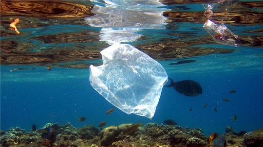 Plastikmüll ist ein großes Problem in den Meeren.