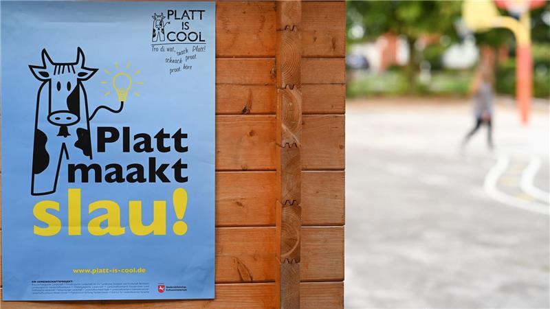 Plattdeutsches Wort 2025: „Schlackermaschü“ Plattdeutsch für Schlagsahne: Schlackermaschü. (Symbolbild)