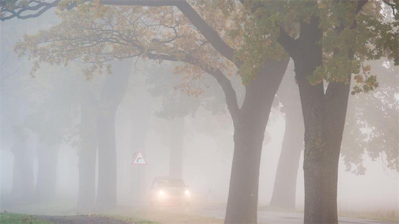 So fahren Sie sicher bei schlechter Sicht im Herbst Plötzlich auftretender Nebel kann für eine starke Sichtbehinderung sorgen. Für Autofahrer sollte dabei stets Vorsicht geboten sein. (Symbolbild)