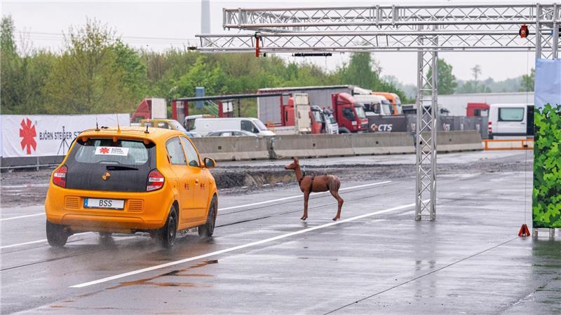 Plötzlich taucht das Reh vor einem Auto auf. Es kommt bei diesem Crashtest mit Tempo 80 zum Zusammenstoß und der Fahrer weicht nach links aus. 