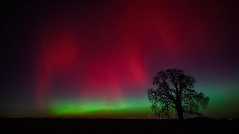 Polarlichter leuchten am Nachthimmel über der Landschaft im östlichen Brandenburg.