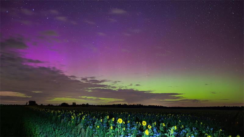 Polarlichter leuchten am Nachthimmel über der Landschaft im östlichen Brandenburg. 