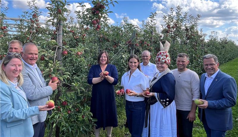 Altes Land: Zweite Bürgermeisterin Katharina Fegebank erntet erste Äpfel Politiker sonnen sich zum Start der Ernte im Glanz der Altländer Blütenkönigin Ella Weilert. Obstbauer Oliver Blohm (Zweiter von rechts) führt die Gäste in seine Apfelplantage.