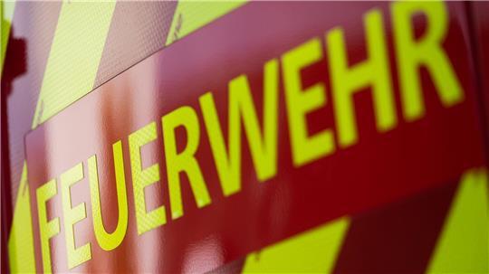 Polizei und Feuerwehr waren vor Ort, um den Wal aus dem Watt zu bergen.  (Symbolbild)