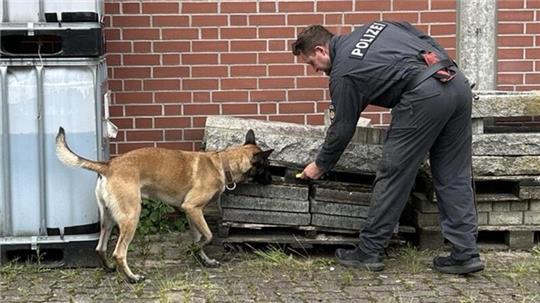 Polizeioberkommissar Lennard Günter zeigt seinem vierbeinigen Kollegen Don, wo er schnuppern soll.
