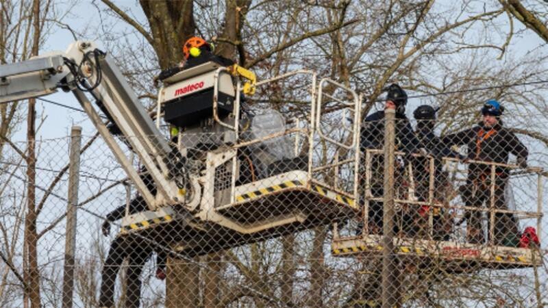 Polizisten holen mithilfe eines Hubsteigers einen Aktivisten von Seilen zwischen Bäumen.