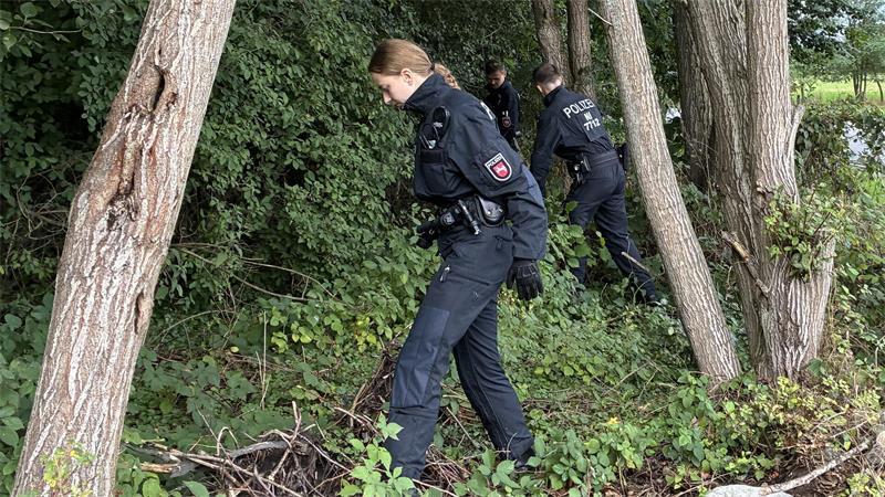 Stromnetz-Saboteure oder Metalldiebe: Polizei auf der Pirsch in Dollern Polizisten rücken im angrenzenden Wald vor.