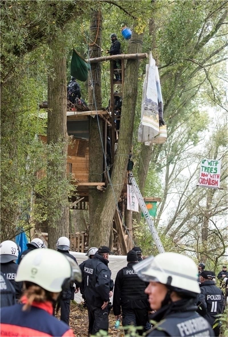 Polizisten sichern Ende Oktober 2019 im Vollhöfner Wald in Altenwerder ein besetztes Baumhaus. Foto: dpa