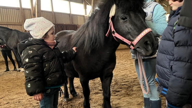 Hobby-Horsing als Wettbewerb: Trainerin aus Großenwörden kontert Kritik Ponybesuch bei der Hobby-Horse-Gruppe: Einmal das Fell streicheln und viel über Ponys und Pferde lernen.