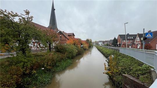 Positiv oder negativ für das Ortsbild? Die naturnahe Böschung an der Jorker Hauptwettern in Borstel ist umstritten.