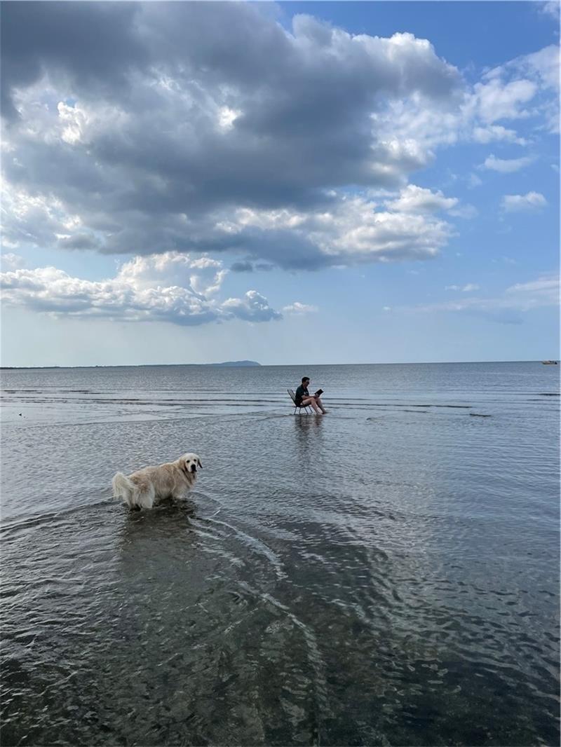 Das sind die schönsten Leseorte der Altländer Prämiert: Sibirien in Schweden an der Ostsee. Foto: Klüver