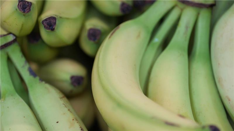 Preise für viele Lebensmittel haben im Januar angezogen. (Symbolbild)