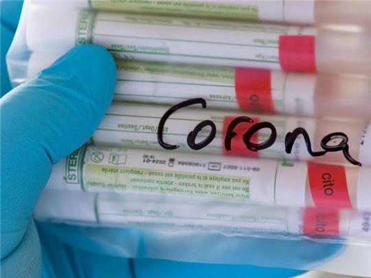 Proben für Corona-Tests werden für die weitere Untersuchung vorbereitet. Foto: Hendrik Schmidt/dpa-Zentralbild/Symbolbild