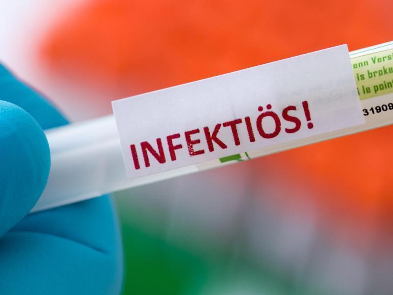 Proben für Corona-Tests werden im Labor für die weitere Untersuchung vorbereitet. Foto: Hendrik Schmidt/dpa-Zentralbild/ZB