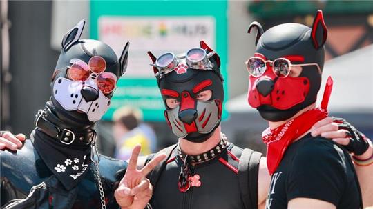 Pup Play wurde in den letzten Jahren zu einem sichtbareren Phänomen, wie hier bei dem Christopher Street Day in Wernigerode.