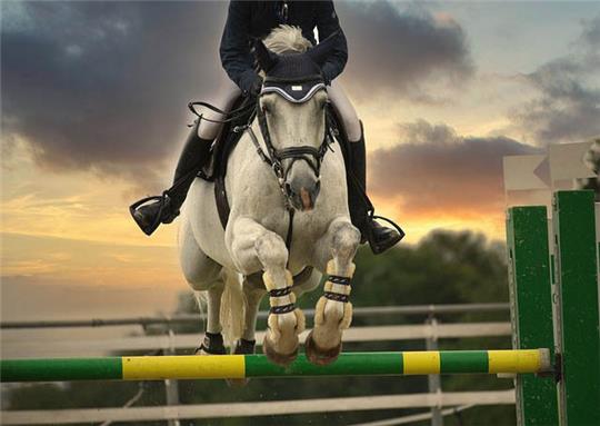 RFV Estetal lädt zum großen Reitturnier (Symbolbild). Foto: Juncala/Pixabay