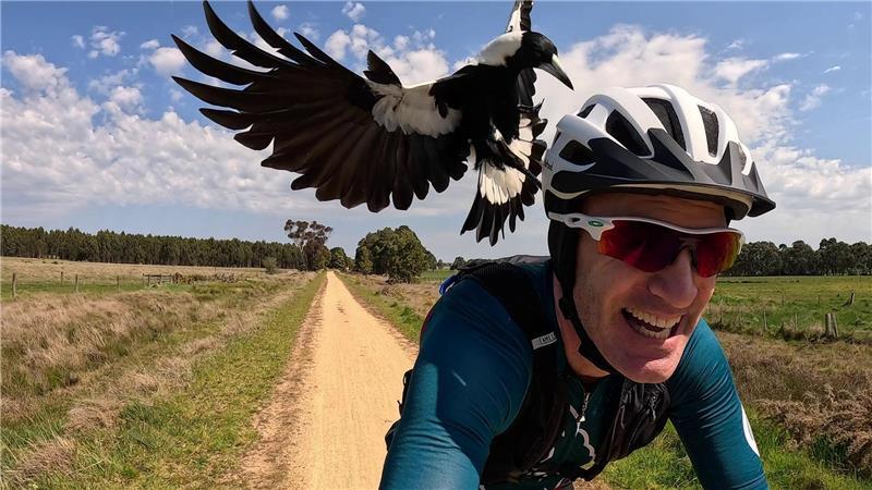 Radfahrer Shane Miller testet einen „PieProof“-Helm gegen Magpie-Angriffe.