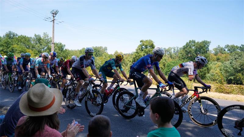 Radprofis bei der 113. Tour de France. 