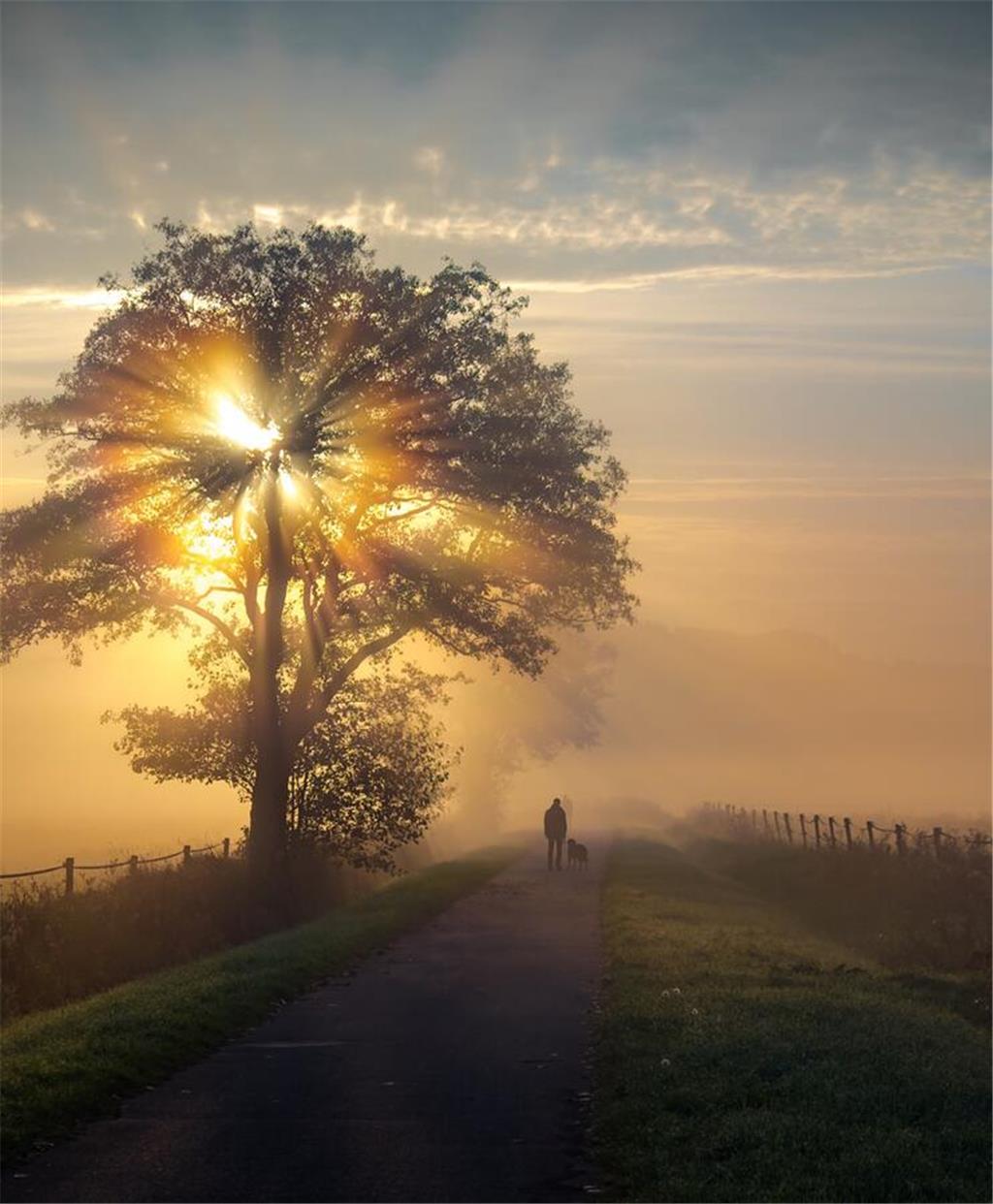 Rainer Koch hat im Archiv gestöbert - und dabei diesen Schnappschuss der Schwing...