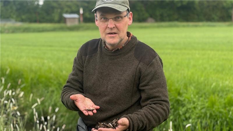 Mit diesem Becken kann Harsefeld auf 30.000 Einwohner wachsen Ralf Gerken, Biologe des Niedersächsischen Anglerverbands, ist mit der Aufarbeitung des Fischsterbens in der Aue betraut.