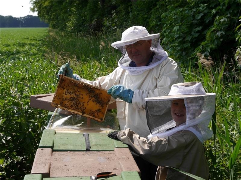 Ralf Umland und Sohn Moritz sehen auf dem Ackerbohnen-Feld nach ihren Bienenvölkern. Fotos: Umland (2)/ Klempow (4)