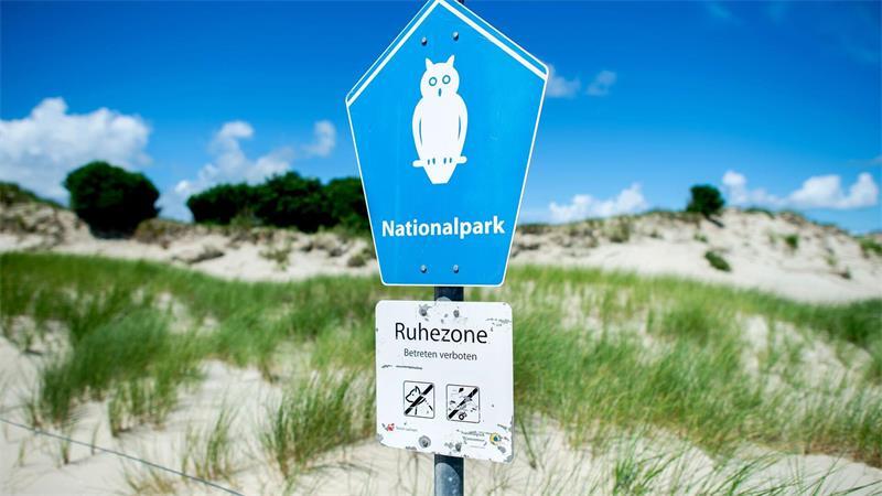 Wachen Ranger bald auch auf der Nordsee? Ranger achten darauf, dass die Nationalpark-Regeln eingehalten werden. (Archivbild)