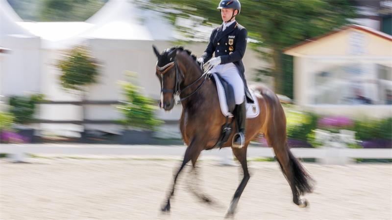 Dressur: WM-Team mit Werth und einem Neuling Raphael Netz ist erstmals für das WM-Team nominiert.