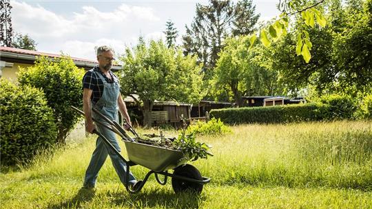 Rasenschnitt, Blätter, abgestorbene Pflanzen und Äste: Es kommt jetzt einiges zusammen im Garten. Die Grünabfälle können auf verschiedene Arten verwertet werden.