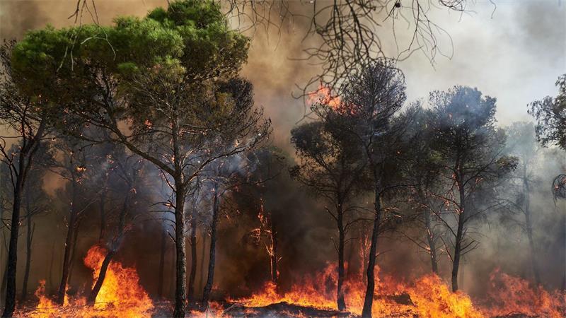 Klimawandel macht Sommerurlaub riskanter Rauch und Feinstaub aus Waldbränden verunreinigen auch noch in weiter Entfernung