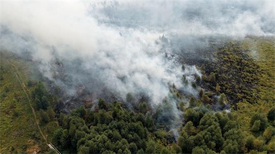 Rauchschwaden ziehen über den großen Waldbrand im Hohen Venn hinweg.