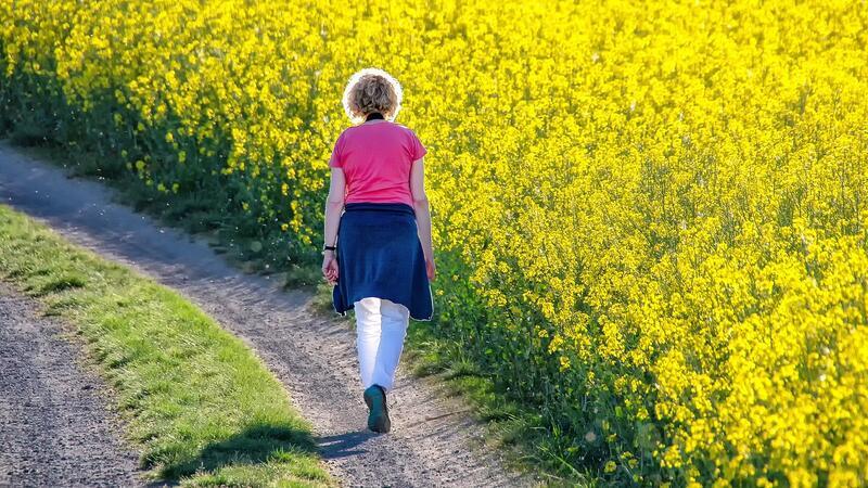 7 Tipps: So werden Sie den Heißhunger auf Schokolade los Raus an die frische Luft. Das hilft gegen den Jieper auf Süßes oder Fettiges.