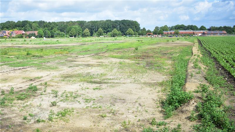 64 neue Grundstücke für Fredenbeck: Was hier ein Hausbau kostet Rechts ist die Grenze des Neubaugebiets zum nächsten Ackerland. Früher waren die Fredenbecker Wiesen ebenfalls landwirtschaftliche Nutzfläche.