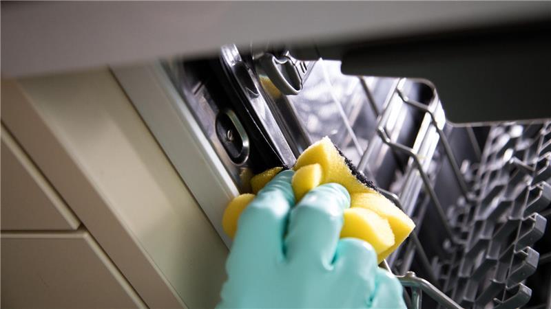 Regelmäßige Reinigung nicht vergessen: Die Gummidichtungen, das Sieb, und die schwer zugänglichen Bereiche der Spülmaschine sollten regelmäßig gereinigt werden.