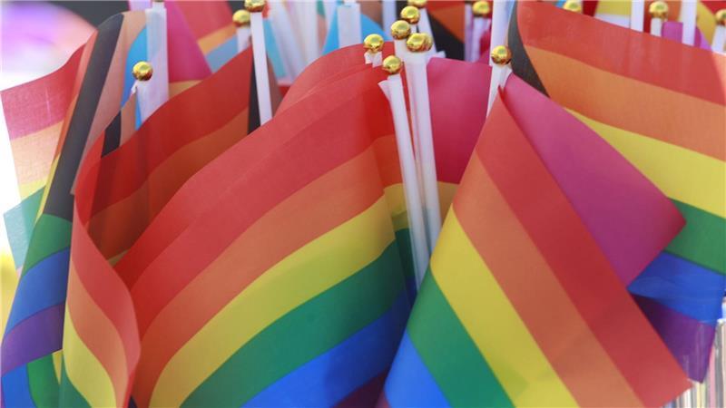 Regenbogenfahnen - Symbol der Community - auf einem Christopher Street Day. (Archivbild)